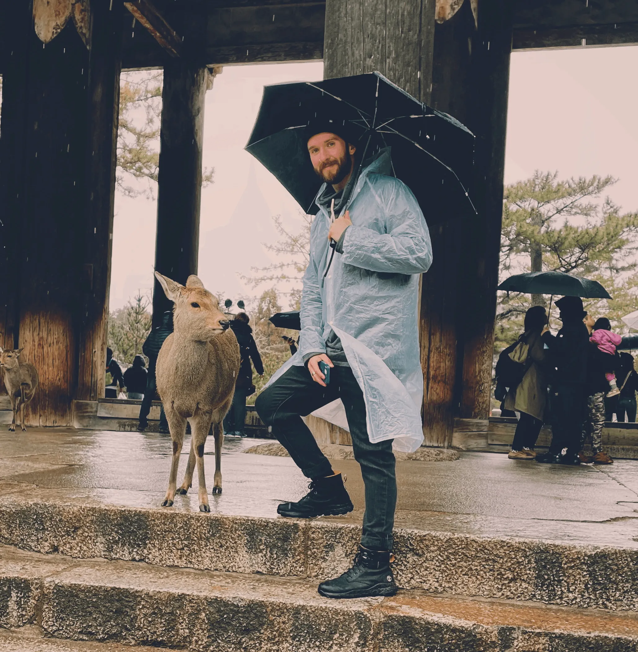 Brody with a deer in Nara, Japan